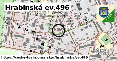 Hrabinská ev.496, Český Těšín