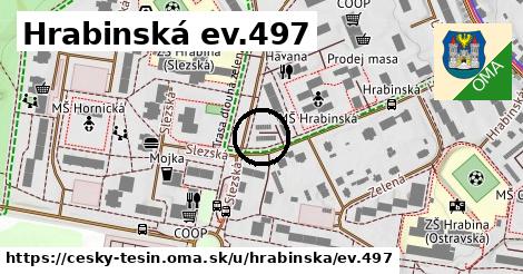 Hrabinská ev.497, Český Těšín