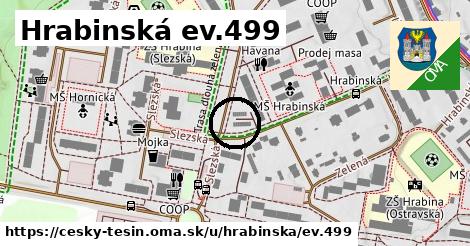 Hrabinská ev.499, Český Těšín