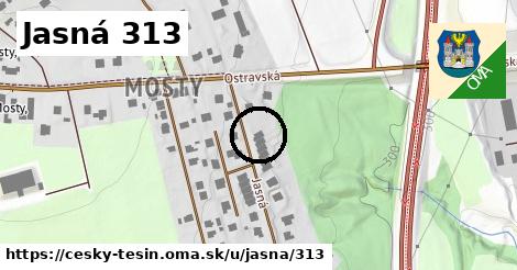 Jasná 313, Český Těšín