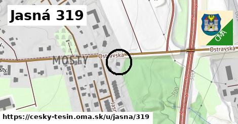 Jasná 319, Český Těšín