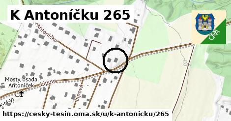 K Antoníčku 265, Český Těšín