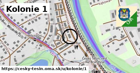 Kolonie 1, Český Těšín