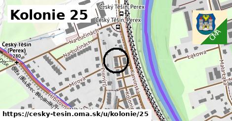 Kolonie 25, Český Těšín