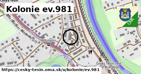 Kolonie ev.981, Český Těšín