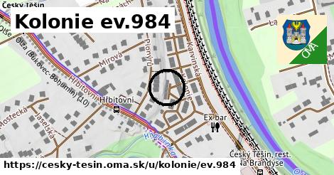 Kolonie ev.984, Český Těšín