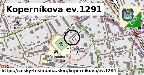 Koperníkova ev.1291, Český Těšín