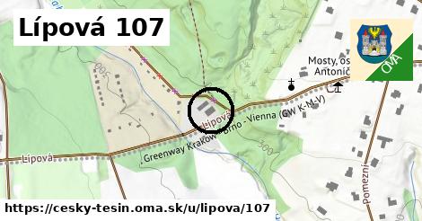 Lípová 107, Český Těšín