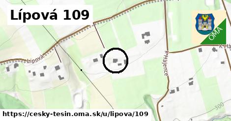 Lípová 109, Český Těšín