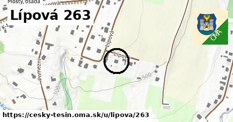 Lípová 263, Český Těšín