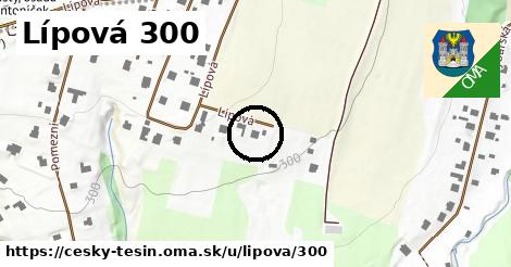 Lípová 300, Český Těšín