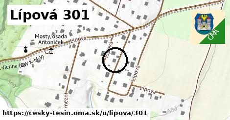 Lípová 301, Český Těšín