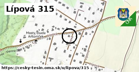 Lípová 315, Český Těšín