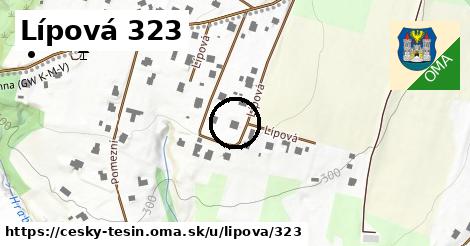 Lípová 323, Český Těšín