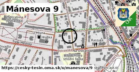 Mánesova 9, Český Těšín