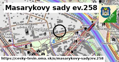 Masarykovy sady ev.258, Český Těšín