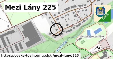 Mezi Lány 225, Český Těšín