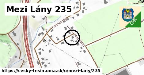 Mezi Lány 235, Český Těšín