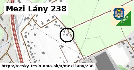 Mezi Lány 238, Český Těšín
