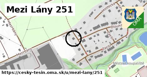 Mezi Lány 251, Český Těšín