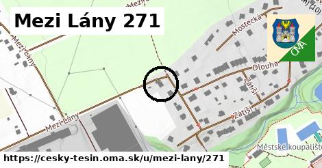 Mezi Lány 271, Český Těšín