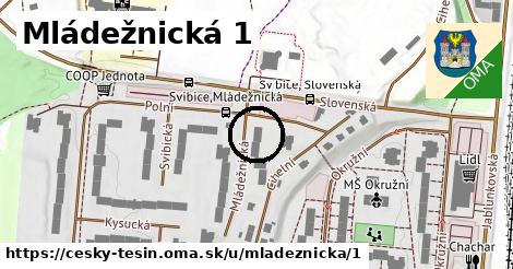 Mládežnická 1, Český Těšín