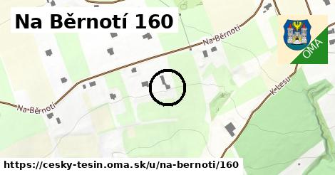 Na Běrnotí 160, Český Těšín