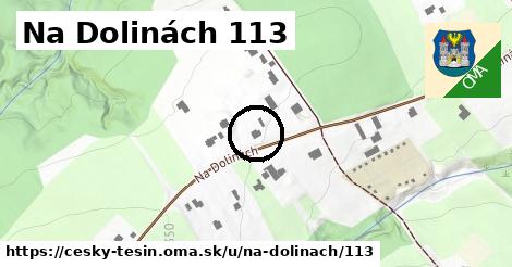 Na Dolinách 113, Český Těšín