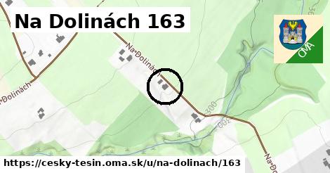 Na Dolinách 163, Český Těšín