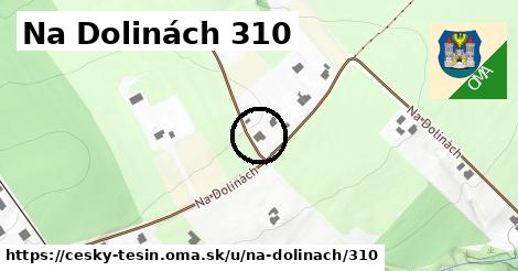 Na Dolinách 310, Český Těšín