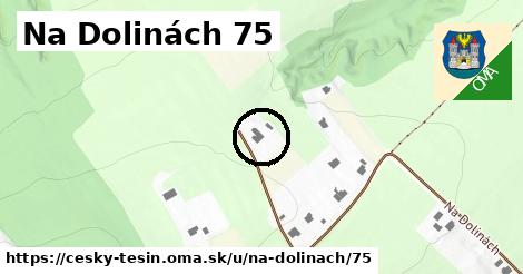 Na Dolinách 75, Český Těšín