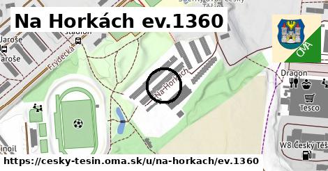 Na Horkách ev.1360, Český Těšín