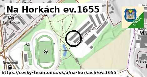 Na Horkách ev.1655, Český Těšín