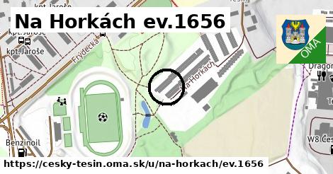 Na Horkách ev.1656, Český Těšín
