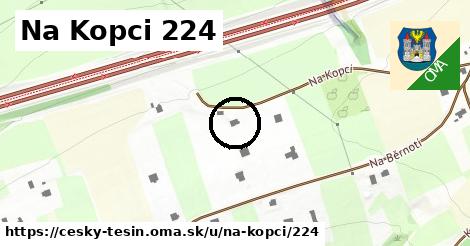 Na Kopci 224, Český Těšín