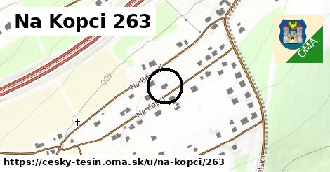 Na Kopci 263, Český Těšín
