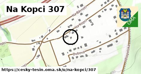 Na Kopci 307, Český Těšín