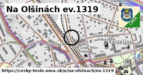 Na Olšinách ev.1319, Český Těšín