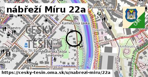 nábřeží Míru 22a, Český Těšín