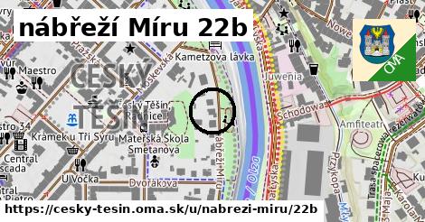 nábřeží Míru 22b, Český Těšín