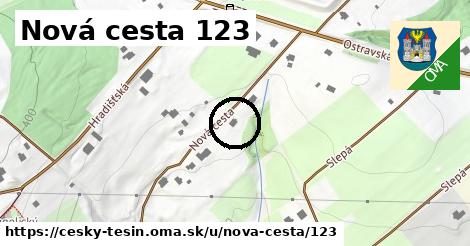 Nová cesta 123, Český Těšín