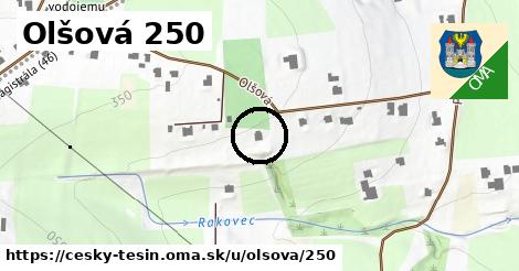 Olšová 250, Český Těšín