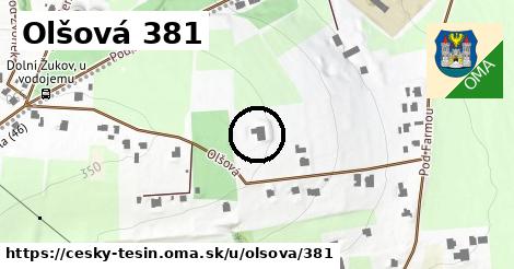 Olšová 381, Český Těšín