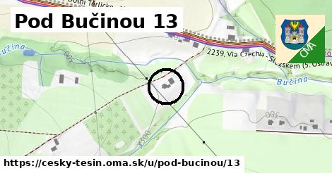 Pod Bučinou 13, Český Těšín