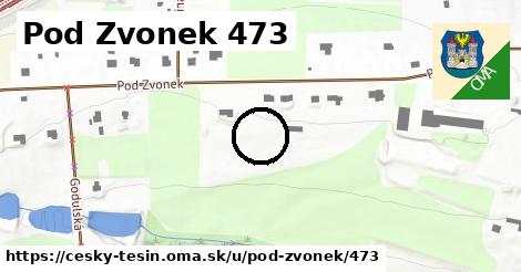 Pod Zvonek 473, Český Těšín