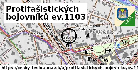Protifašistických bojovníků ev.1103, Český Těšín