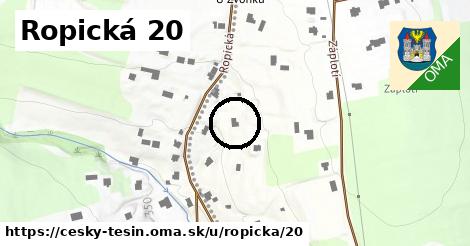 Ropická 20, Český Těšín