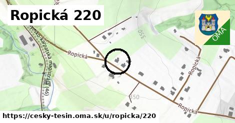 Ropická 220, Český Těšín
