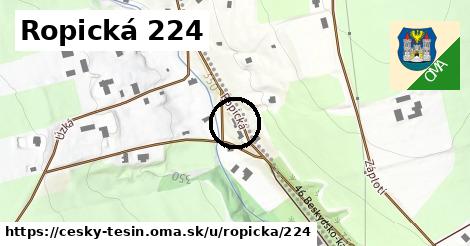 Ropická 224, Český Těšín