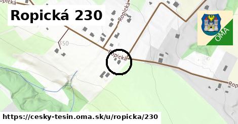 Ropická 230, Český Těšín